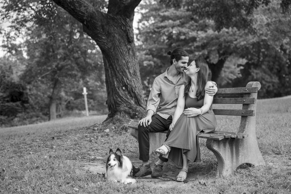 a dog in a couples portrait
