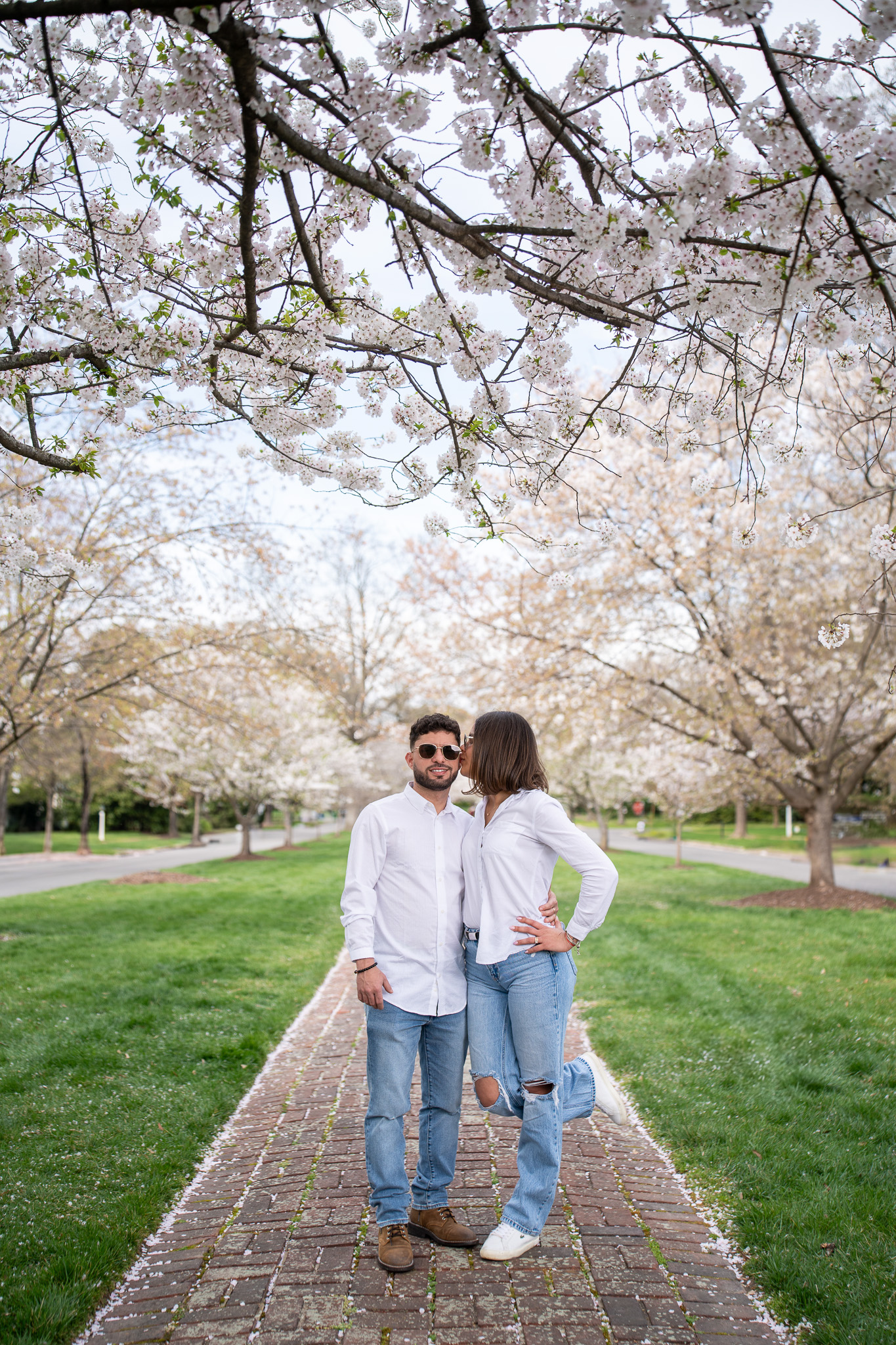Portrait session Windsor Way Richmond Virginia spring cherry blossom canopy Stephen Lawson Photography