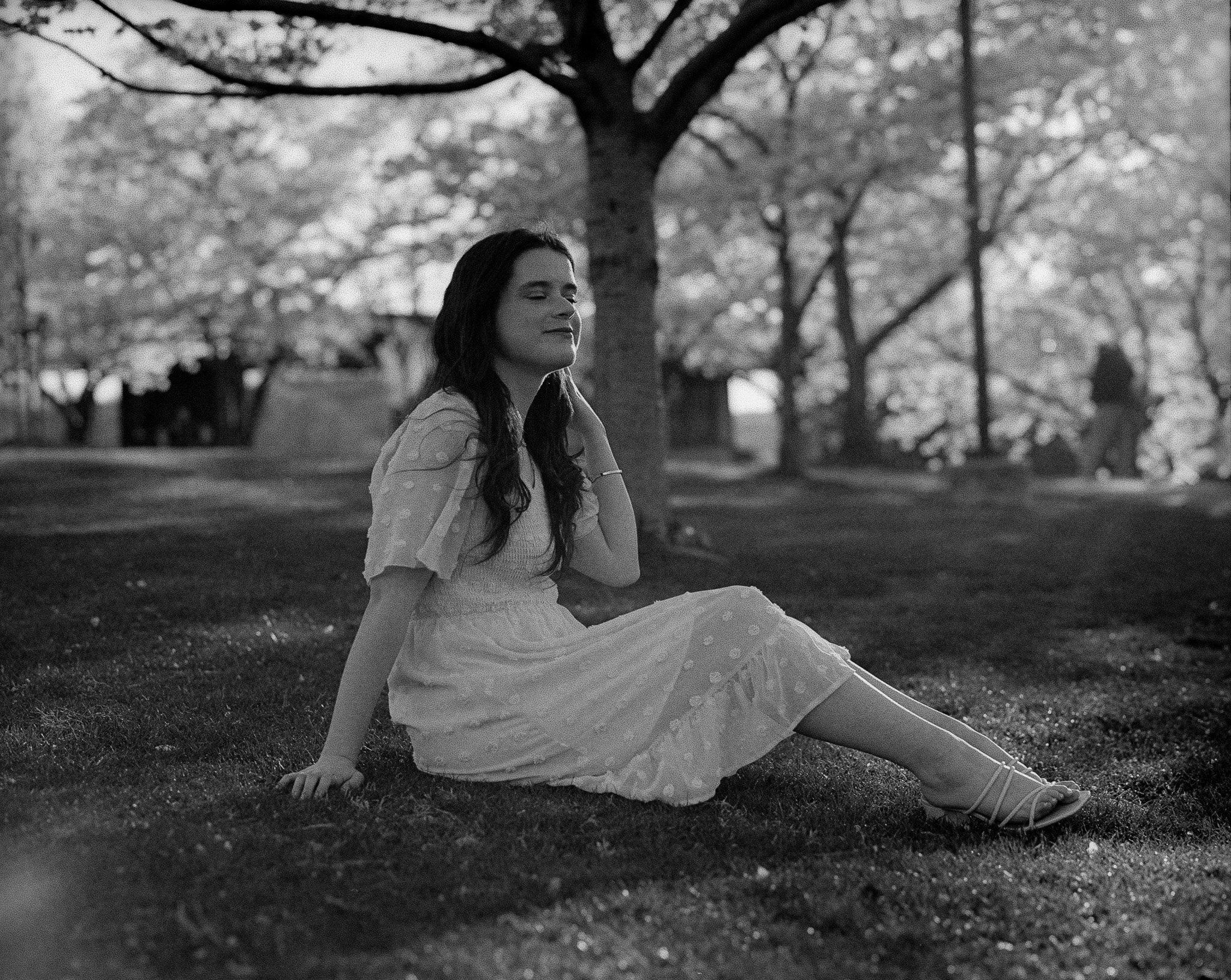 Kodak Tri-X 400 sample frame