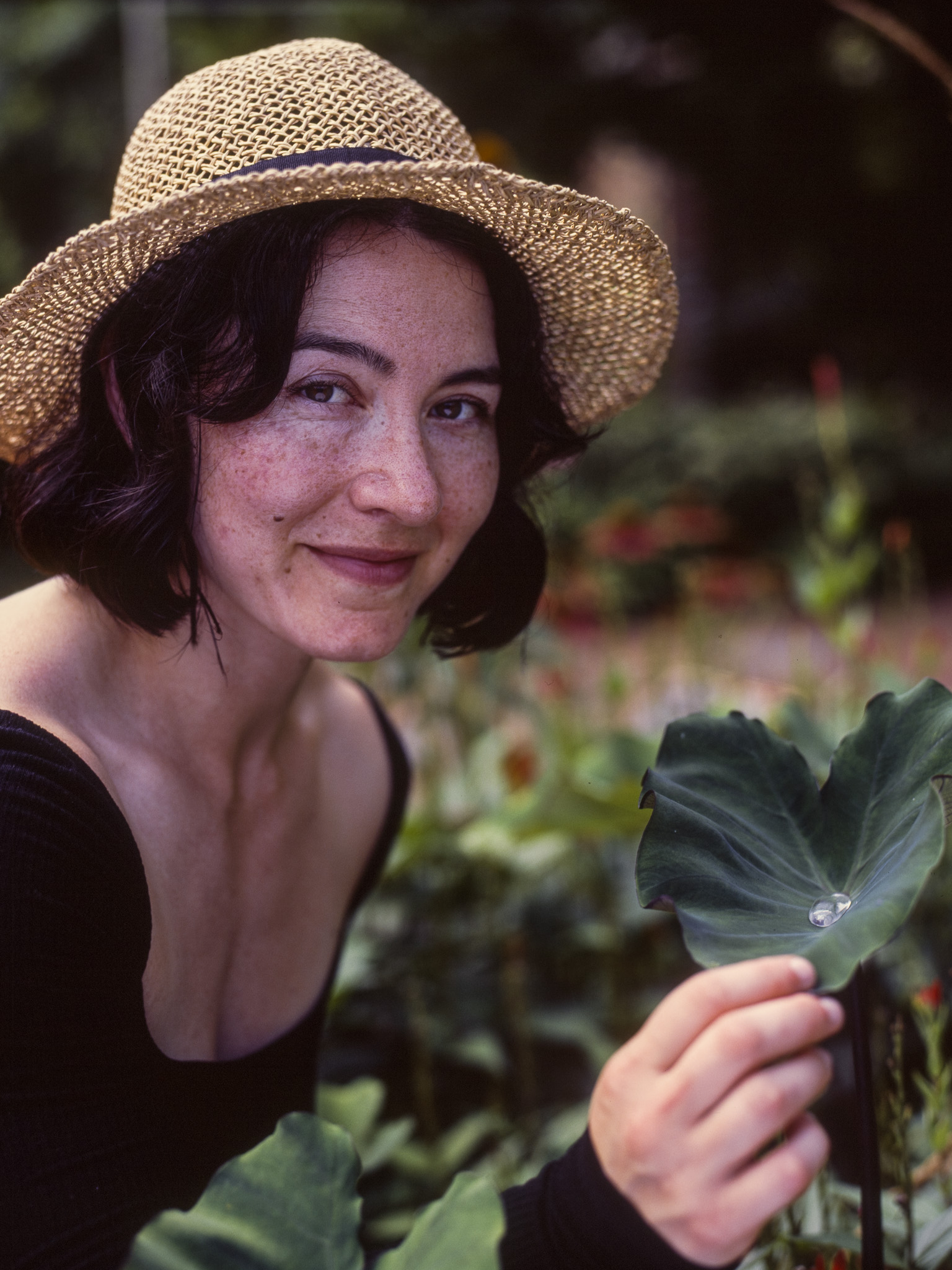 Kodak Ektachrome 100 sample frame