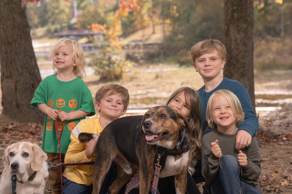 Richmond professional photography by Stephen Lawson