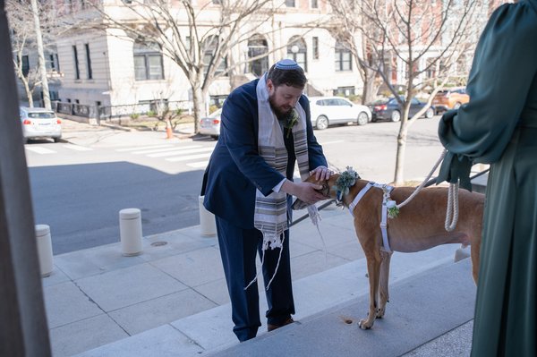 Richmond professional photography by Stephen Lawson