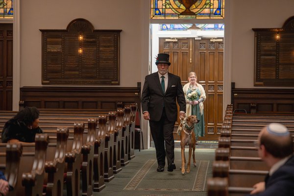 Richmond professional photography by Stephen Lawson