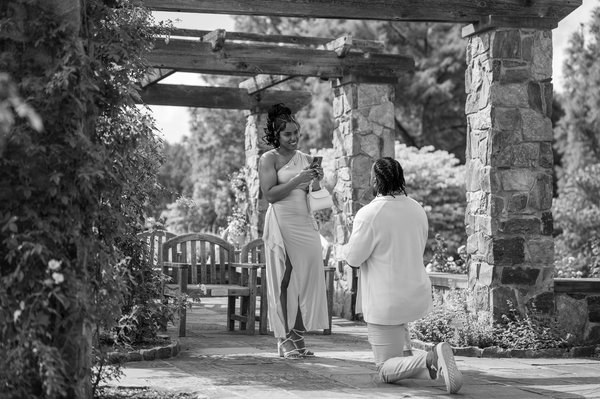 Richmond professional photography by Stephen Lawson