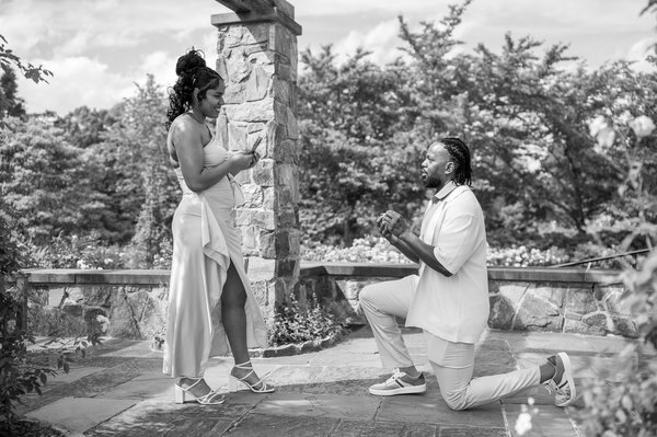 Richmond professional photography by Stephen Lawson