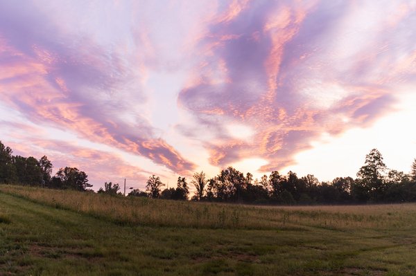 Richmond professional photography by Stephen Lawson