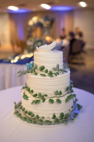 Richmond professional photography by Stephen Lawson