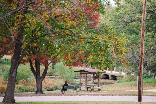 Francheska and Kevin's Proposal — engagement photography by Stephen Lawson
