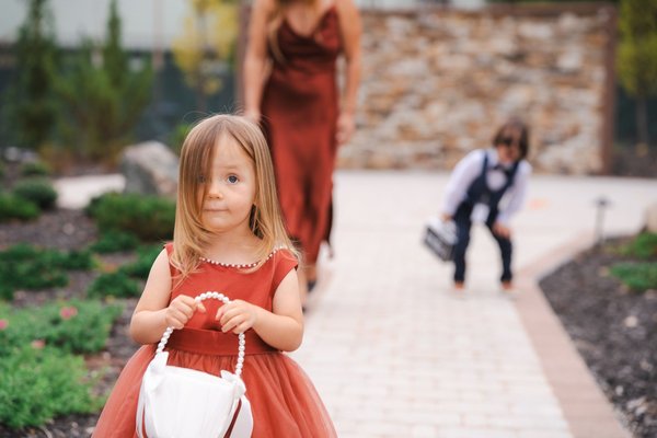 Nicole and Brian's Wedding — wedding photography by Stephen Lawson