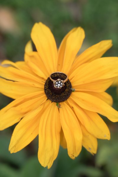 Audrey and Hammza's Engagement — engagement photography at Agecroft Hall & Gardens by Stephen Lawson
