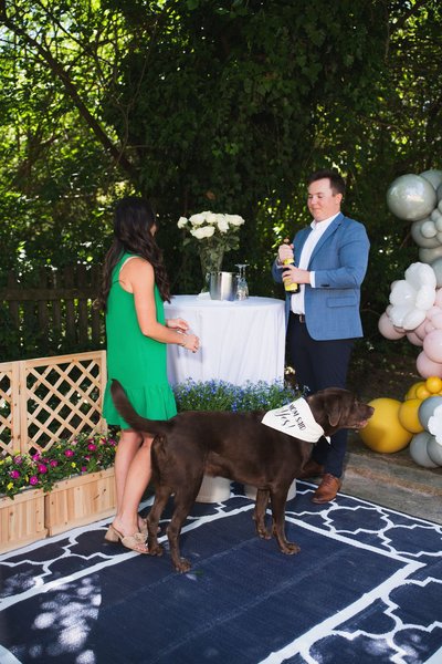 Steele Engagement Session — engagement photography by Stephen Lawson
