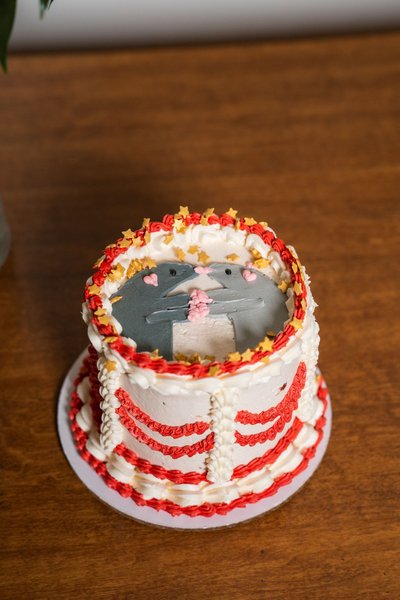 Camden and Sam's Elopement — elopement photography by Stephen Lawson