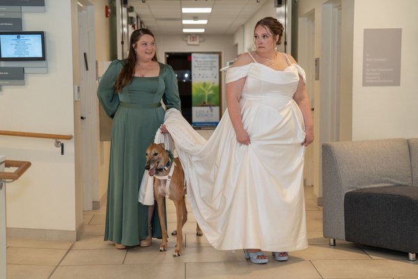 Joseph Wedding — wedding photography by Stephen Lawson