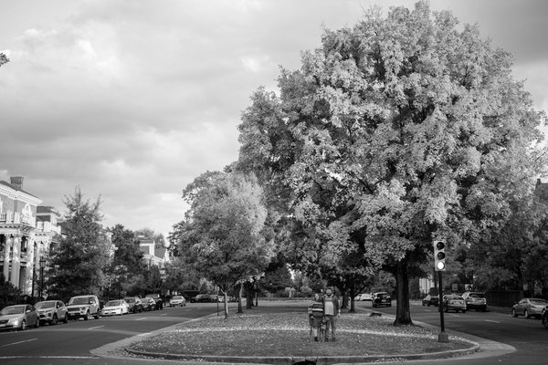 Jordan and Jordan — couples photography by Stephen Lawson