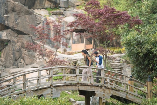 Rodriguez Engagement Session — engagement photography by Stephen Lawson