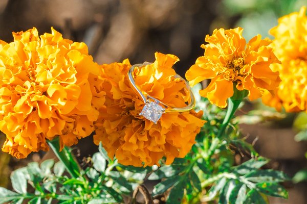 Claire & Alexander's Engagement — engagement photography by Stephen Lawson