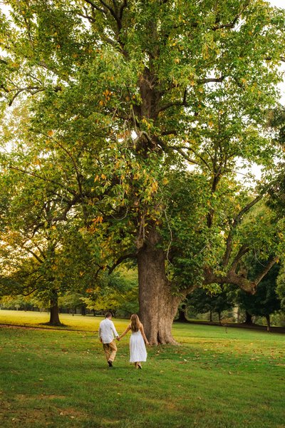 Kate & Max's Engagement — engagement photography by Stephen Lawson