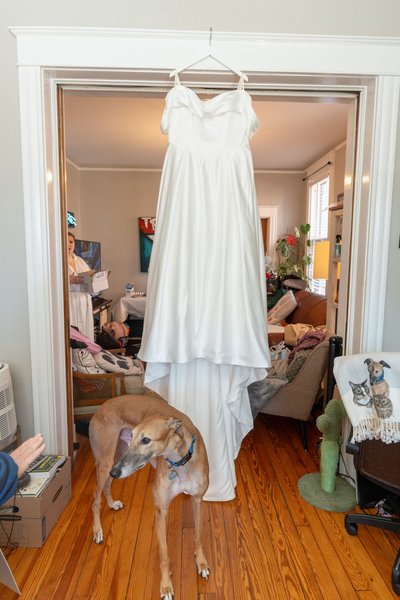 Joseph Wedding — wedding photography by Stephen Lawson