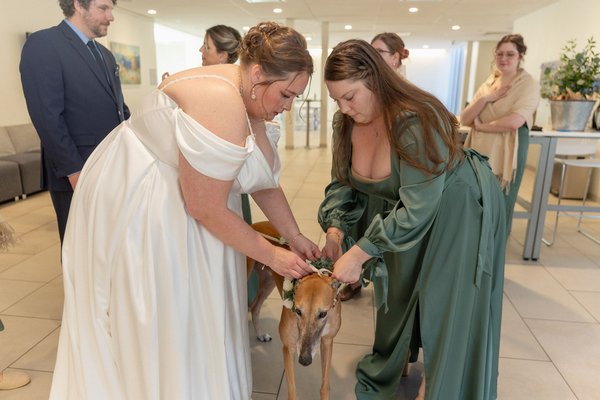 Joseph Wedding — wedding photography by Stephen Lawson