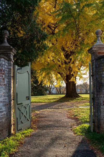 Edward and Micah's Engagement — engagement photography at Chatham Manor by Stephen Lawson