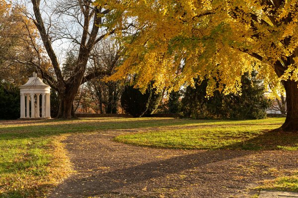 Edward and Micah's Engagement — engagement photography at Chatham Manor by Stephen Lawson