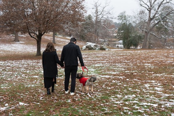 Maxwell Couples Session — engagement photography by Stephen Lawson