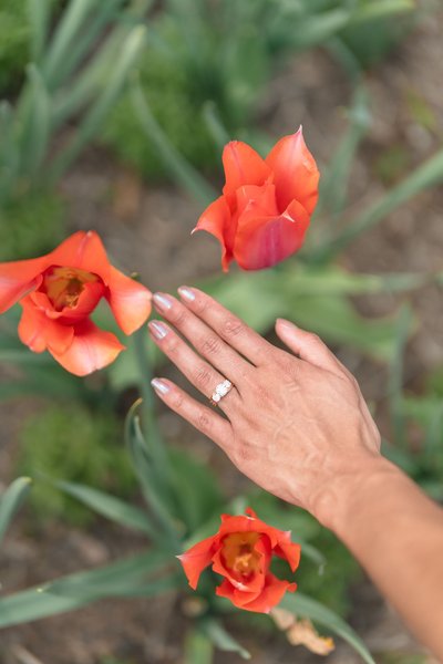 Rodriguez Engagement Session — engagement photography by Stephen Lawson