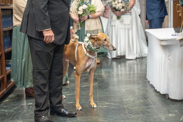 Joseph Wedding — wedding photography by Stephen Lawson