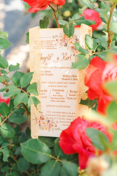Ingrid and Karl's Wedding — wedding photography by Stephen Lawson