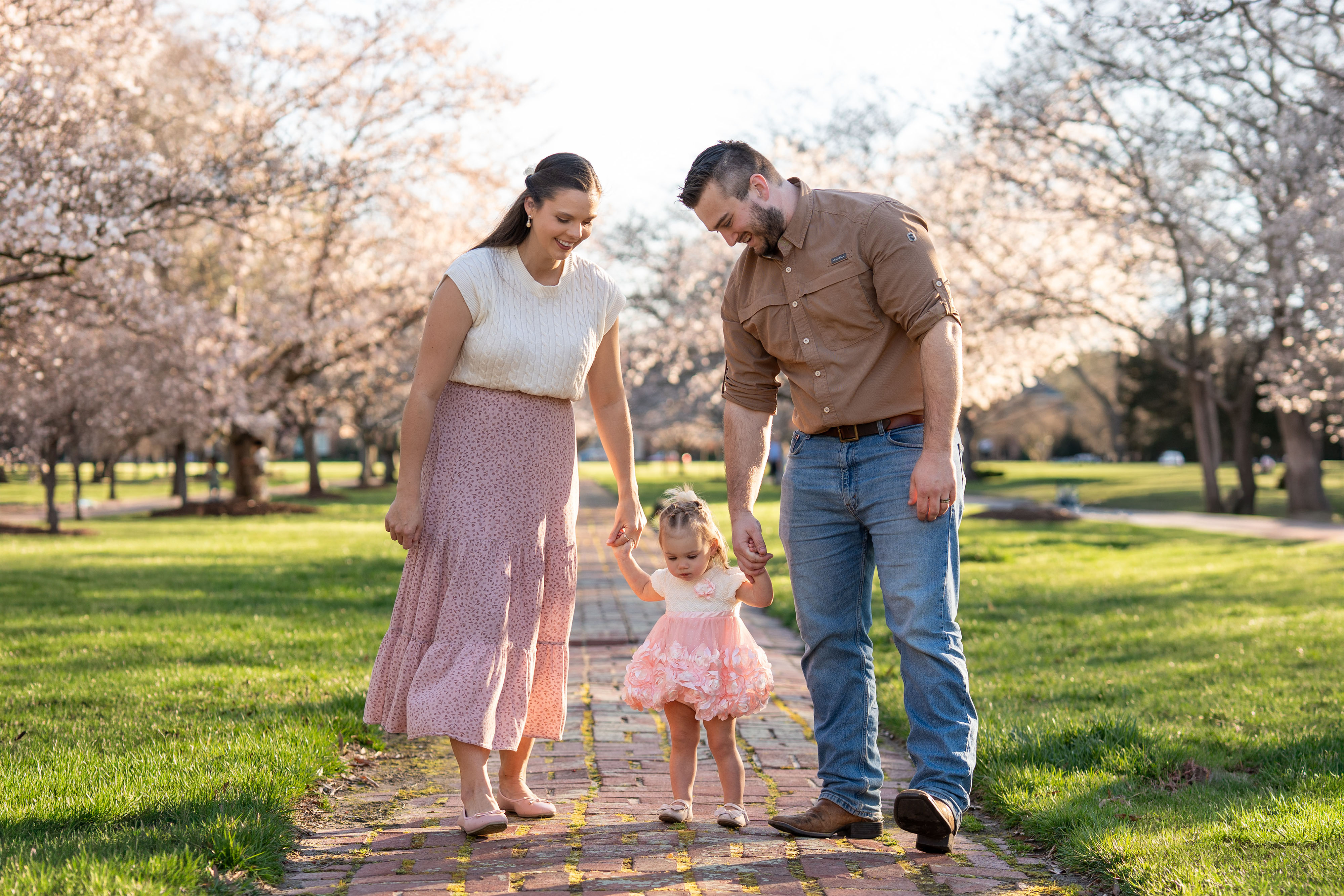 Windsor Way Cherry Blossoms