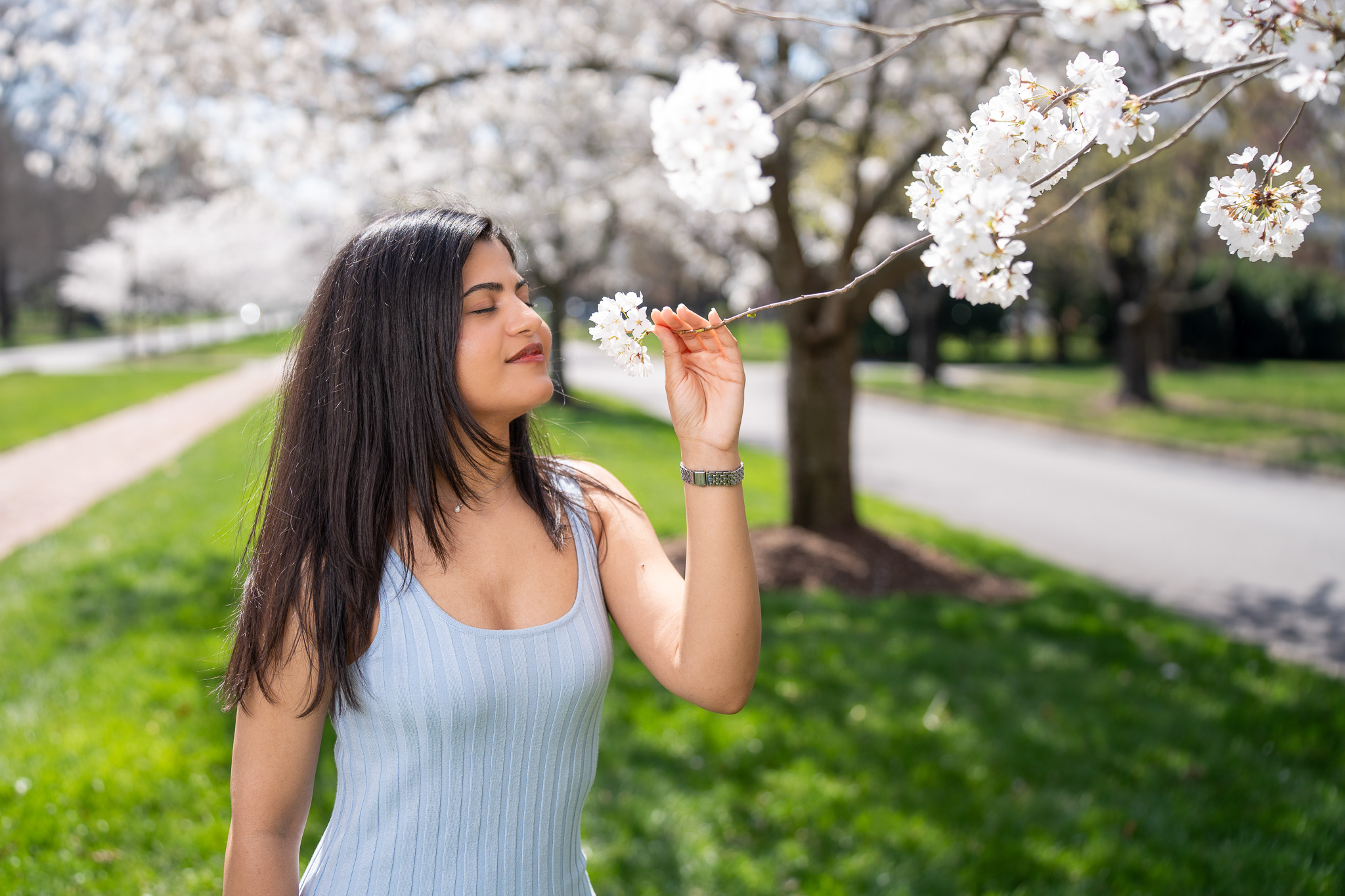 Prachi's Cherry Blossom